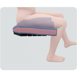 https://www.spexseating.com/wp-content/uploads/2022/01/Spex-Cushion-2.png